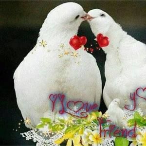 Meet your Posher, Lam